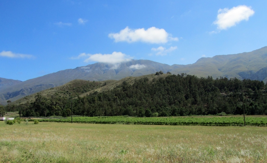 Commercial Property for Sale in Swellendam Rural Western Cape